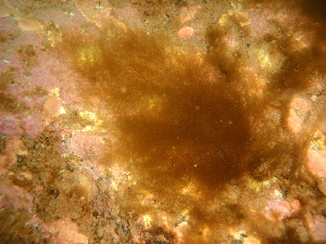  ( - GWS039127)  @11 [ ] Unspecified (default): All Rights Reserved  Unspecified Unspecified