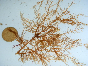  ( - GWS039534)  @11 [ ] Unspecified (default): All Rights Reserved  Unspecified Unspecified