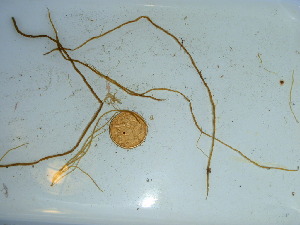  ( - GWS040479)  @11 [ ] Unspecified (default): All Rights Reserved  Unspecified Unspecified