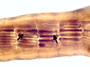  ( - GWS044246A)  @11 [ ] Unspecified (default): All Rights Reserved  Unspecified Unspecified