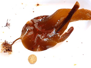  ( - GWS044385)  @11 [ ] Unspecified (default): All Rights Reserved  Unspecified Unspecified