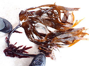  ( - GWS045078)  @11 [ ] Unspecified (default): All Rights Reserved  Unspecified Unspecified