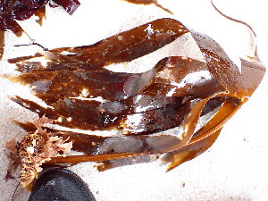  ( - GWS045093)  @11 [ ] Unspecified (default): All Rights Reserved  Unspecified Unspecified