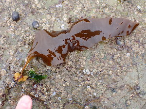  ( - GWS045267)  @11 [ ] Unspecified (default): All Rights Reserved  Unspecified Unspecified