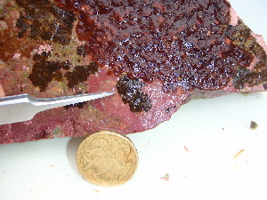  ( - GWS045628)  @11 [ ] Unspecified (default): All Rights Reserved  Unspecified Unspecified