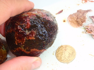  ( - GWS045654)  @11 [ ] Unspecified (default): All Rights Reserved  Unspecified Unspecified