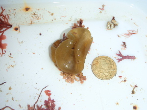  ( - GWS046315)  @11 [ ] Unspecified (default): All Rights Reserved  Unspecified Unspecified