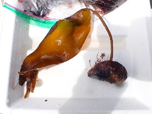  ( - GWS046400)  @11 [ ] Unspecified (default): All Rights Reserved  Unspecified Unspecified