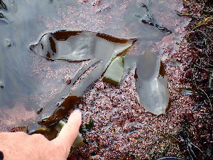  ( - GWS046572)  @11 [ ] Unspecified (default): All Rights Reserved  Unspecified Unspecified