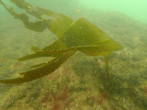  ( - GWS047434)  @11 [ ] Unspecified (default): All Rights Reserved  Unspecified Unspecified