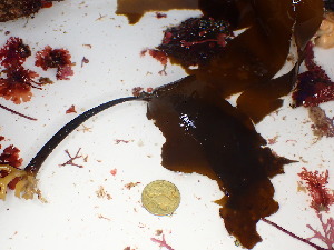  ( - GWS047671)  @11 [ ] Unspecified (default): All Rights Reserved  Unspecified Unspecified