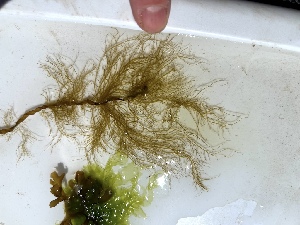  ( - GWS048347)  @11 [ ] Unspecified (default): All Rights Reserved  Unspecified Unspecified