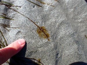  ( - GWS048686)  @11 [ ] Unspecified (default): All Rights Reserved  Unspecified Unspecified