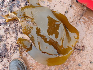  ( - GWS049212)  @11 [ ] Unspecified (default): All Rights Reserved  Unspecified Unspecified