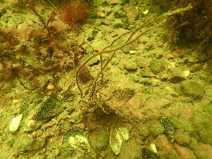  ( - GWS049221)  @11 [ ] Unspecified (default): All Rights Reserved  Unspecified Unspecified