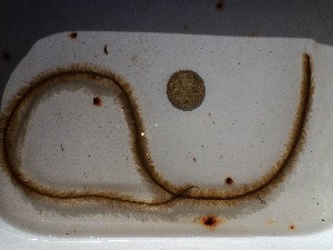  ( - GWS049418)  @11 [ ] Unspecified (default): All Rights Reserved  Unspecified Unspecified