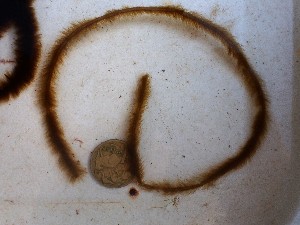  ( - GWS049451)  @11 [ ] Unspecified (default): All Rights Reserved  Unspecified Unspecified