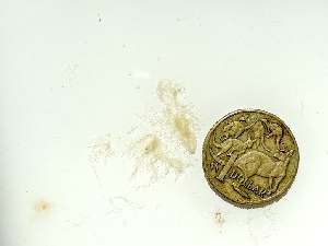  ( - GWS049608)  @11 [ ] Unspecified (default): All Rights Reserved  Unspecified Unspecified