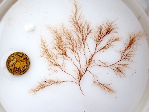  ( - GWS049922)  @11 [ ] Unspecified (default): All Rights Reserved  Unspecified Unspecified