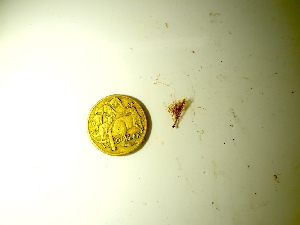  ( - GWS049960)  @11 [ ] Unspecified (default): All Rights Reserved  Unspecified Unspecified