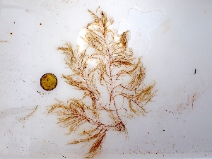  ( - GWS050063)  @11 [ ] Unspecified (default): All Rights Reserved  Unspecified Unspecified