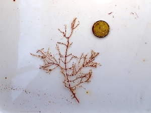  ( - GWS050075)  @11 [ ] Unspecified (default): All Rights Reserved  Unspecified Unspecified