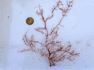  ( - GWS050077)  @11 [ ] Unspecified (default): All Rights Reserved  Unspecified Unspecified