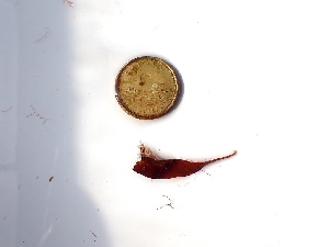  ( - GWS050104)  @11 [ ] Unspecified (default): All Rights Reserved  Unspecified Unspecified