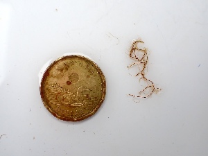  ( - GWS050126)  @11 [ ] Unspecified (default): All Rights Reserved  Unspecified Unspecified