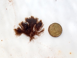  ( - GWS050154)  @11 [ ] Unspecified (default): All Rights Reserved  Unspecified Unspecified