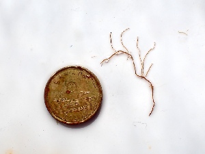  ( - GWS050159)  @11 [ ] Unspecified (default): All Rights Reserved  Unspecified Unspecified