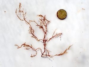  ( - GWS050161)  @11 [ ] Unspecified (default): All Rights Reserved  Unspecified Unspecified