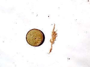  ( - GWS050178)  @11 [ ] Unspecified (default): All Rights Reserved  Unspecified Unspecified