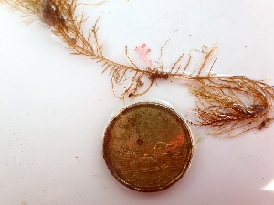  ( - GWS050181)  @11 [ ] Unspecified (default): All Rights Reserved  Unspecified Unspecified