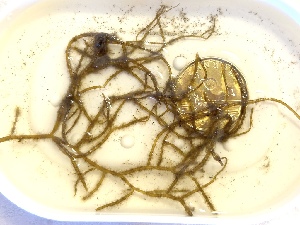  ( - GWS050226)  @11 [ ] Unspecified (default): All Rights Reserved  Unspecified Unspecified