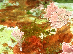  ( - GWS050332)  @11 [ ] Unspecified (default): All Rights Reserved  Unspecified Unspecified