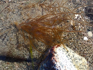  ( - GWS050435)  @11 [ ] Unspecified (default): All Rights Reserved  Unspecified Unspecified