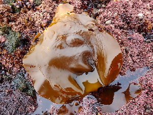  ( - GWSX047009)  @11 [ ] Unspecified (default): All Rights Reserved  Unspecified Unspecified