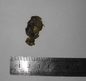  ( - Gauna_310)  @11 [ ] CreativeCommons - Attribution Non-Commercial (2013) Unspecified Universidad Nacional del Sur