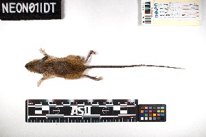  ( - BART.20180718.R4454.E)  @11 [ ] CreativeCommons - Attribution Share-Alike (2025) Unspecified Arizona State University