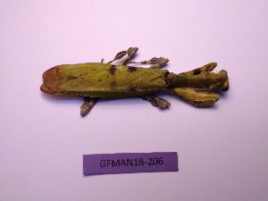  ( - GFMAN18-206)  @11 [ ] Copyright (2018) Nicolas Moulin Research Collection of Nicolas Moulin