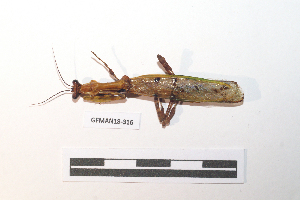  ( - GFMAN18-316)  @11 [ ] Copyright (2024) Nicolas Moulin Research Collection of Nicolas Moulin