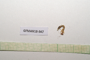  ( - GFMAN18-347)  @11 [ ] Copyright (2024) Nicolas Moulin Research Collection of Nicolas Moulin