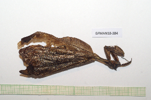  ( - GFMAN18-384)  @11 [ ] Copyright (2024) Nicolas Moulin Research Collection of Nicolas Moulin