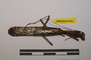  ( - NMMAN11-0546)  @11 [ ] Copyright (2020) Nicolas Moulin Research Collection of Nicolas Moulin