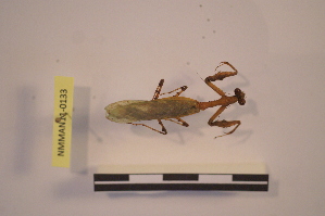 ( - NMMAN11-0133)  @11 [ ] Unspecified (default): All Rights Reserved  Unspecified Unspecified