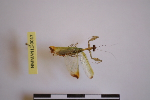  ( - NMMAN11-0017)  @11 [ ] Unspecified (default): All Rights Reserved  Unspecified Unspecified