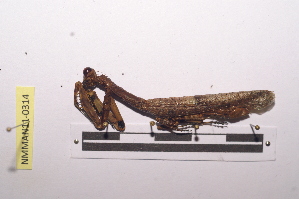  ( - NMMAN11-0314)  @12 [ ] Unspecified (default): All Rights Reserved  Unspecified Unspecified