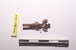  ( - NMMAN11-0424)  @11 [ ] Unspecified (default): All Rights Reserved  Unspecified Unspecified