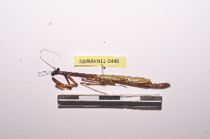  ( - NMMAN11-0445)  @13 [ ] Unspecified (default): All Rights Reserved  Unspecified Unspecified